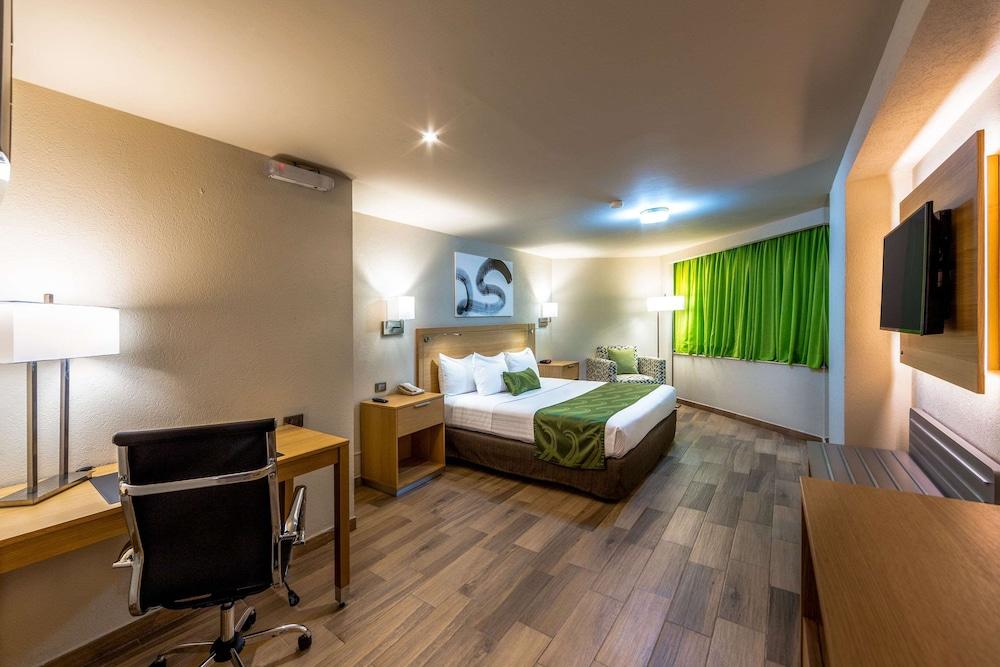 La Joya Pachuca Ξενοδοχείο Εξωτερικό φωτογραφία A typical hotel room